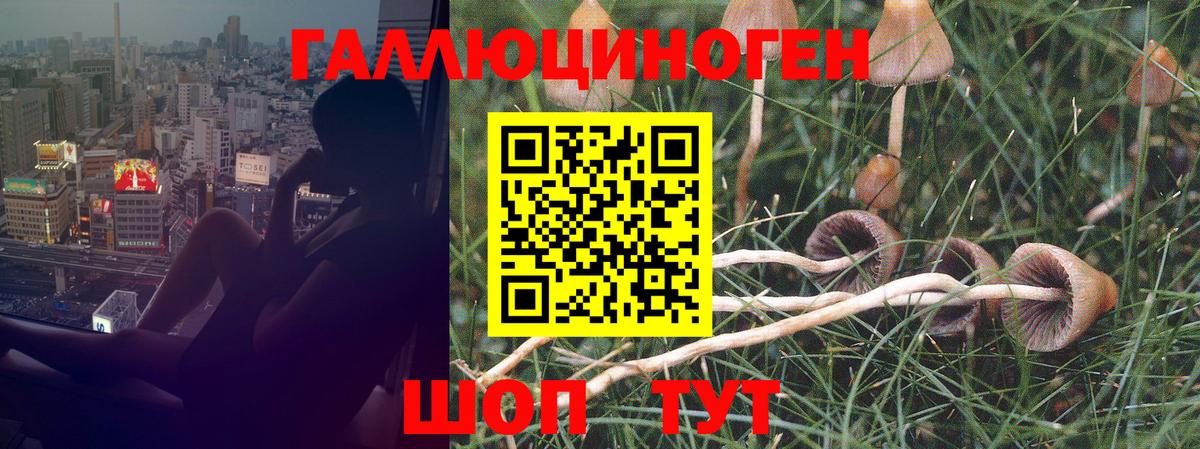 Галлюциногенные грибы мицелий  Вход с VPN  Псилоцибиновые грибы мухоморы  Мытищи 